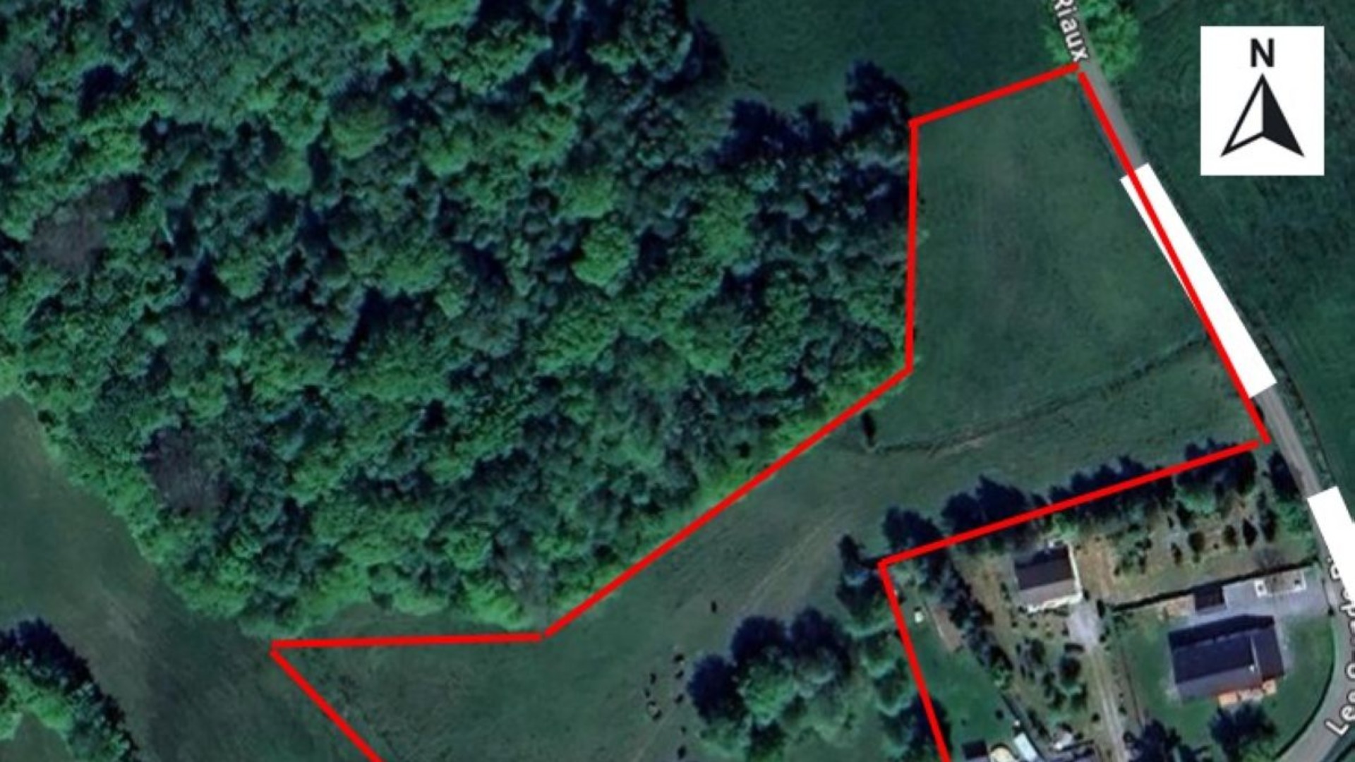 2516 : un grand terrain à bâtir de forme irrégulière, tout près des bois et de la Belgique
